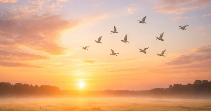 cremation services Nowata, OK